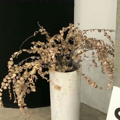 墨江FurryQQ群介绍